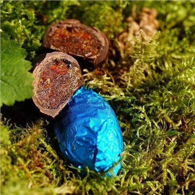 Конфеты «Фрутодень» Чернослив с кедровыми орешками в шоколаде 800г