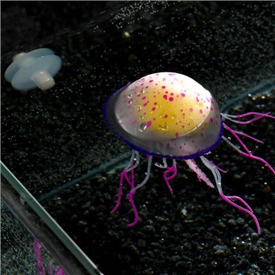Декор для аквариума "Медуза", силиконовая, с неоновым эффектом, 6,5 х 6,5 х 11,5 см, фиолето   71088