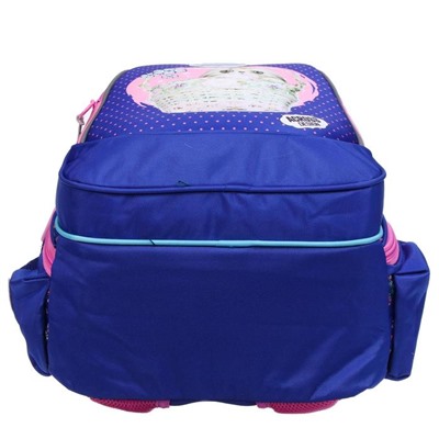 Рюкзак школьный, эргономичная спинка, 39 х 29 х 17 см, "Котёнок", синий/розовый