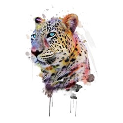 3D Фотообои «Красочный леопард»
