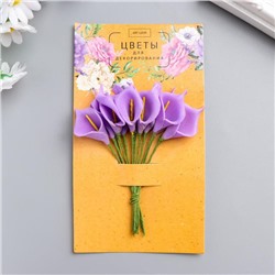 Цветы для декорирования "Фиолетовые каллы" 1 букет=12 цветов 16х9 см