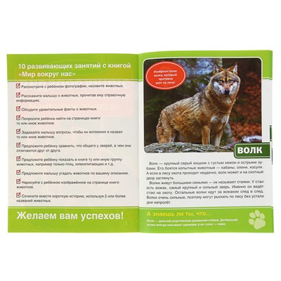 Энциклопедия с развивающими заданиями «Лесные животные»