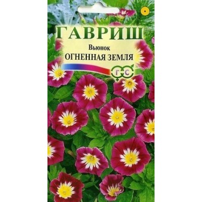 00694 Вьюнок Снежное Царство 0,5 г