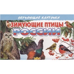 Зимующие птицы России: Обучающие карточки 2020