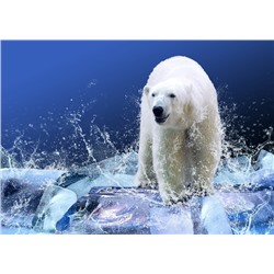 3D Фотообои «Белый медведь на льдине»
