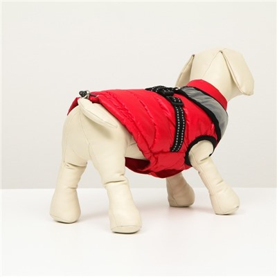 Куртка для собак со светоотражающей шлейкой, размер 10 (ДС 25, ОГ 34, ОШ 24), красная