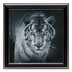 Картина "Тигр" 18х18(21,5х21,5) см