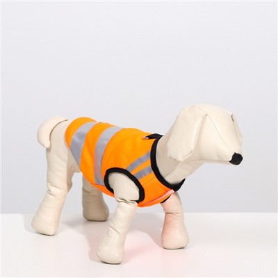 Светоотражающий жилет для собак,  размер 8 (ДС 23 см, ОГ 30 см, ОГ 22 см), оранжевый