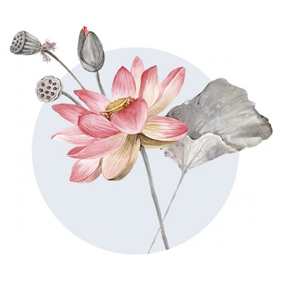 Наклейка многоразовая интерьерная 90*180 см, декор "Цветы лотоса" (2687)