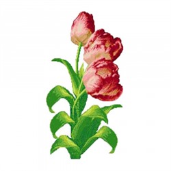 Набор для вышивания крестом (канва с рисунком) "Тюльпаны", 33х53см кткн 130 (р)