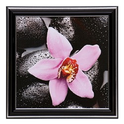 Картина "Розовая орхидея" 18х18(21,5х21,5) см