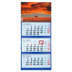 Календари квартальные трио "Закат, 2021- 1" 31 х 69 см