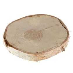Спил березы, шлифованный с одной стороны, диаметр 15-20  см, толщина 2-3 см