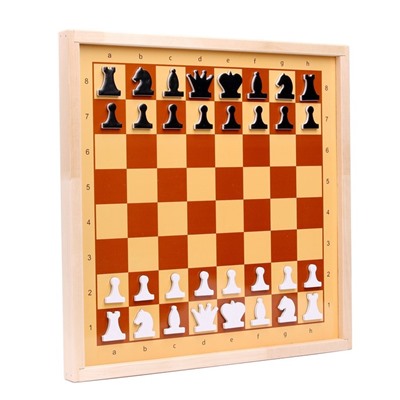 Шахматы и шашки демонстрационные магнитные (мини)