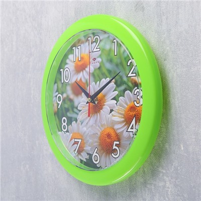 Часы настенные, серия: Цветы, "Ромашки", зеленое кольцо, 23  см, микс