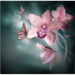 3D Фотообои «Изящная орхидея»