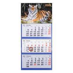 Календарь квартальный, трио "Символ года - 6" 2022 год, 31 х 69 см