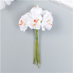 Цветы для декорирования "Пион Лоллипоп" 1 букет=6 цветов белый 9 см