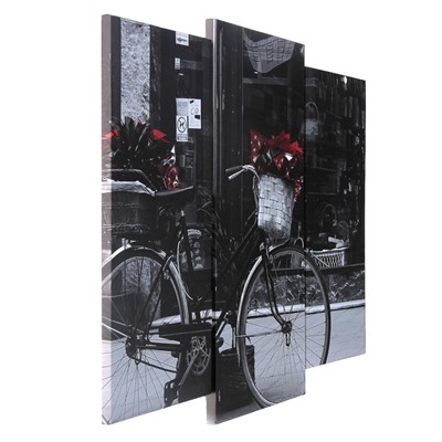 Модульная картина "Чёрно-белый велосипед"  (2-25х52; 1-30х60) 60х80 см