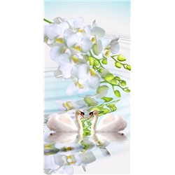 3D Фотообои «Лебеди на фоне белых орхидей»