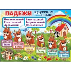 0800658 Плакат А2 Падежи в русском языке