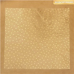 Ацетатный лист с фольгированием «Золотой горошек», 30,5 × 30,5 см