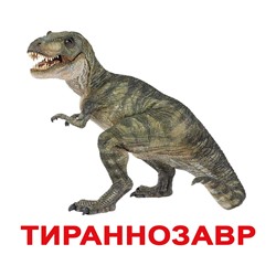 Комплект карточек “Динозавры”