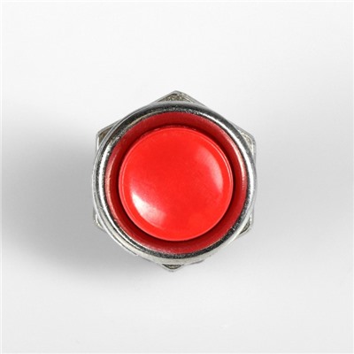 Выключатель кнопочный без подсветки, диаметр 21 мм, микс