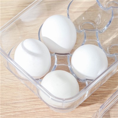 Контейнер для яиц с крышкой, 12 ячеек, 33×12×8 см, цвет прозрачный