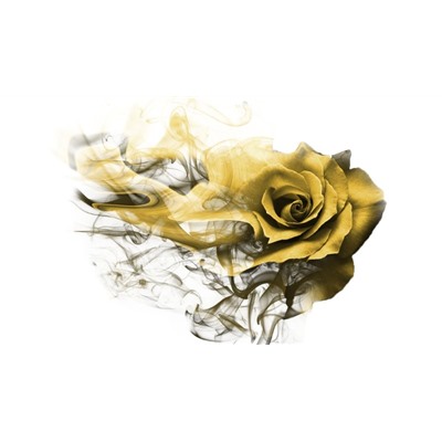 3D Фотообои «Солнечная роза»