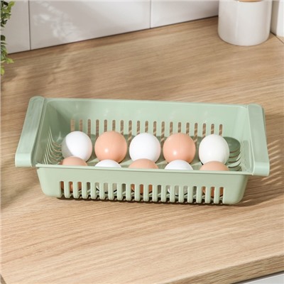 Лоток для хранения яиц, 10 ячеек, 31×17,5×7,5 см, цвет МИКС