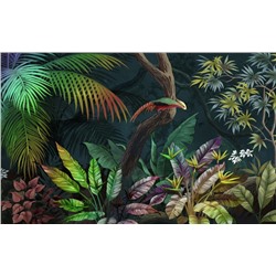 3D Фотообои «Птица в ярких тропиках»