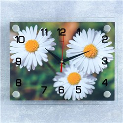 Часы настенные, серия: Цветы, "Ромашки", 20х26 см  микс