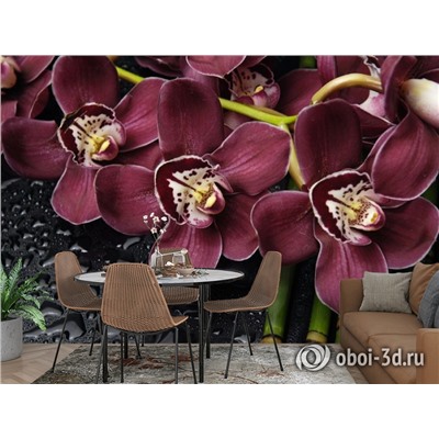 3D Фотообои «Орхидеи и капли воды»