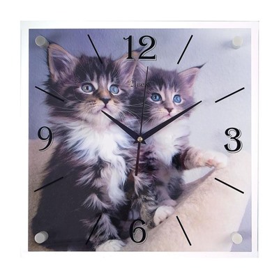 Часы настенные, серия: Животный мир, "Котята", 35х35  см, микс