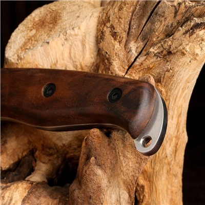 Нож охотничий "Акула" сталь - AUS8, рукоять - дерево