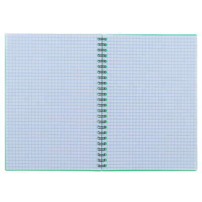 Тетрадь А5, 60 листов в клетку, на гребне ErichKrause Classic, пластиковая обложка, блок офсет, зелёная