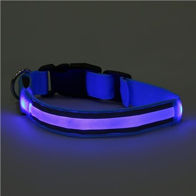 Ошейник с подсветкой и 2 светоотражающими полосами, 38-40 см, 3 режима свечения, голубой