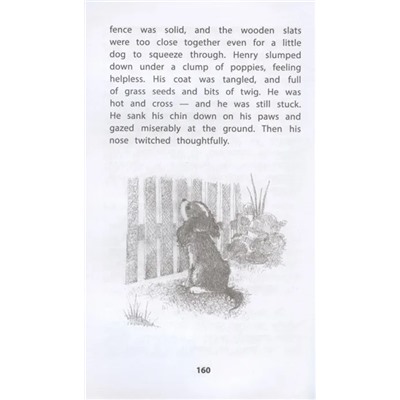 Щенок Генри, или Летнее чудо = The Seaside Puppy | Вебб Х.