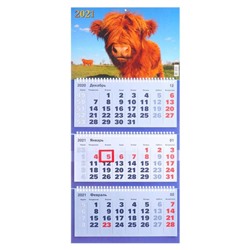 Календари квартальные трио "Символ года, 2021  - 36" 31 х 69 см