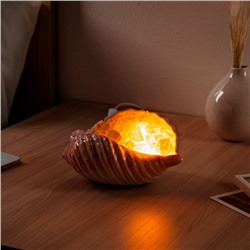 Соляная лампа "Раковина Перламутр", 17 см, 1-2 кг
