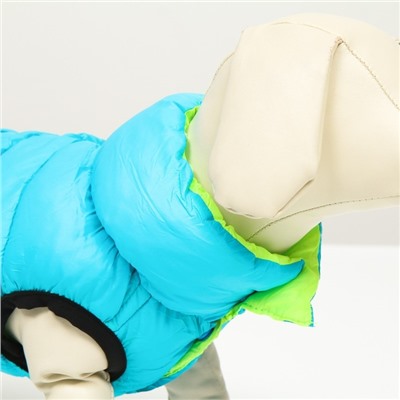 Куртка для собак двухсторонняя, XS22 (ДС 22 , ОШ 19 , ОГ 34 ), бирюзовая/салатовая