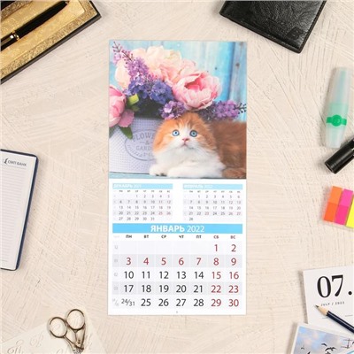Календарь перекидной на скрепке "Котята" 2022 год, 285х285 мм