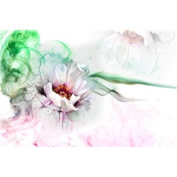 3D Фотообои «Красочный цветок»