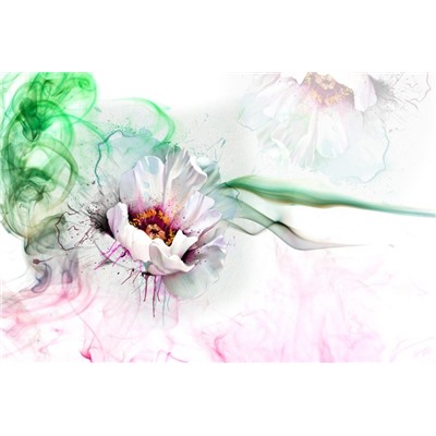 3D Фотообои «Красочный цветок»