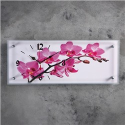 Часы настенные, серия: Цветы, "Орхидея", 20х50 см