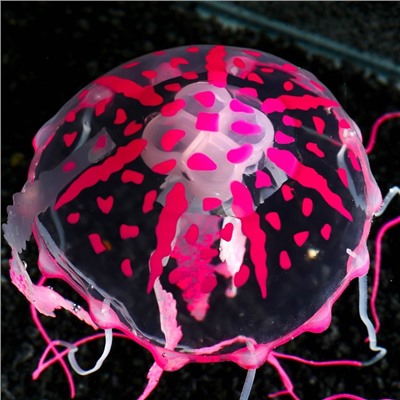 Декор для аквариума "Медуза" силиконовая, с неоновым эффектом, 10 х 10 х 20,5 см, розовая