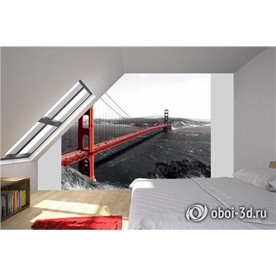 3D Фотообои «Золотые ворота Сан-Франциско»