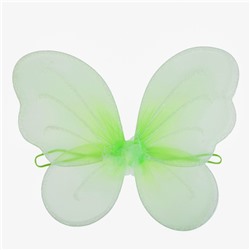 Карнавальные крылья «Бабочка», для детей, цвет зелёный