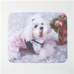Салфетка для очков TAO50 "Собачка в платье" 15*18см, цвет бело-розовый